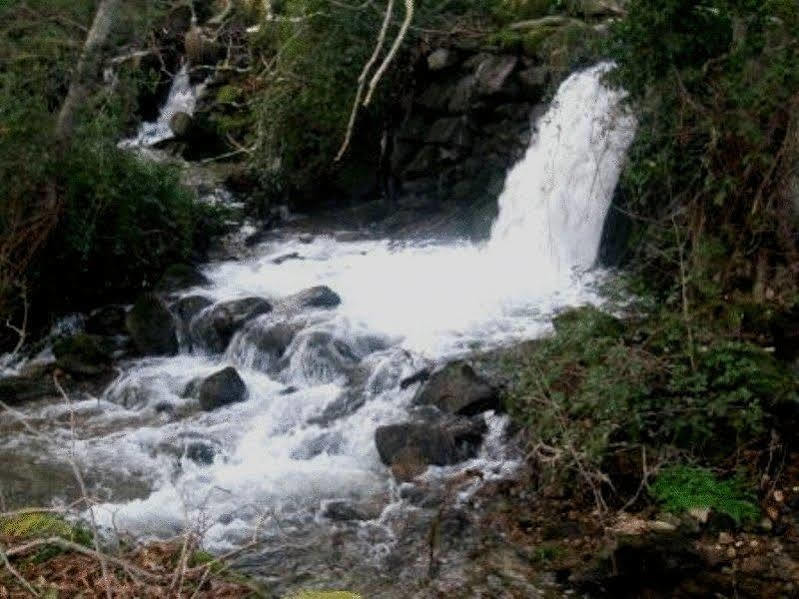 Hotel Quinta Do Lagar Da Moira Vila Franca da Serra Exteriér fotografie