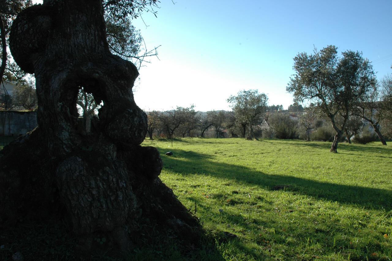 Hotel Quinta Do Lagar Da Moira Vila Franca da Serra Exteriér fotografie